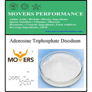 Suplemento Nutricional - Adenosine Triphosphate Disodium (ATP)